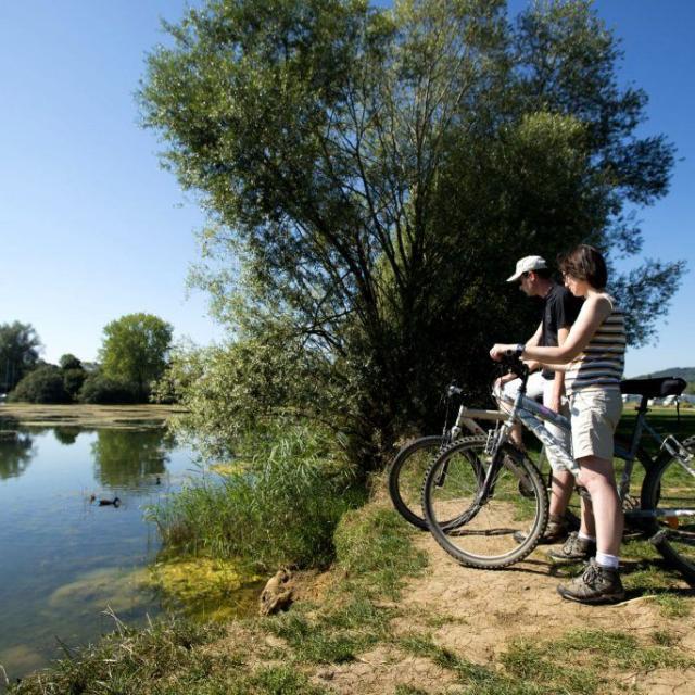 Lac Madine Meuse Grand Est Lorraine Location Vélo 1024x684