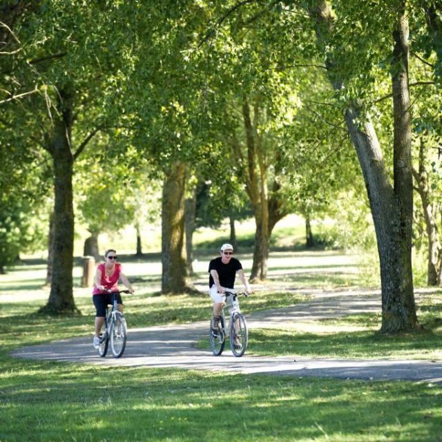 Lac Madine Meuse Grand Est Lorraine Location Vélo Forêt Nature 1024x682