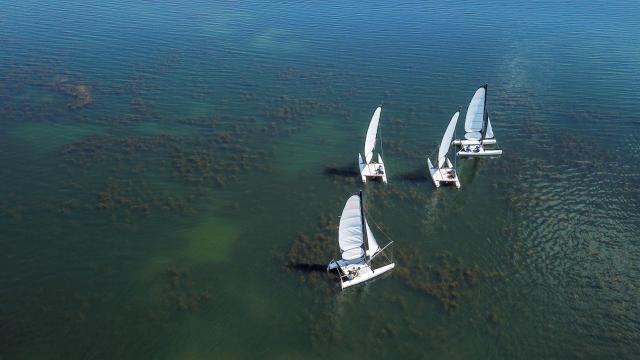 Catamaran Sailing