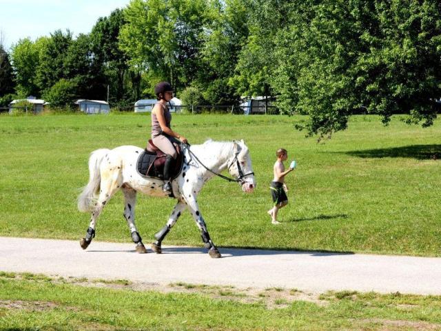 Lac Madine Meuse Grand Est Lorraine Location Promenade Cheval Centre Equestre 1024x668