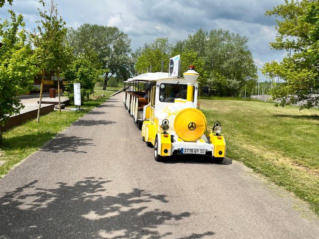 Petit Train Nature (1)