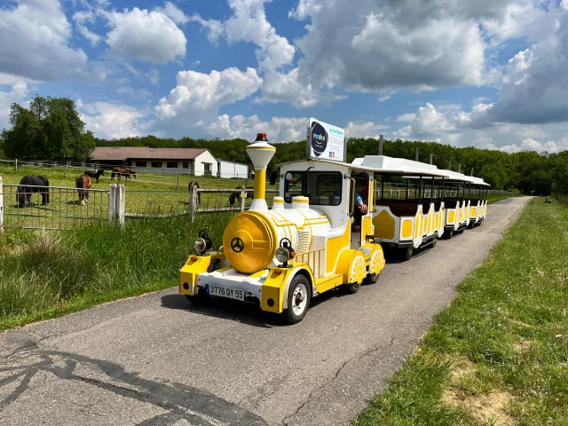 Petittrain (3)