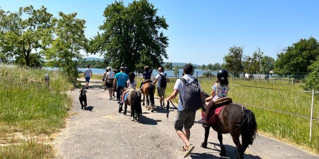 Reitzentrum Balade Poney (9)