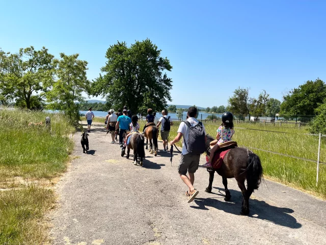 Centre équestre Balade Poney (9)