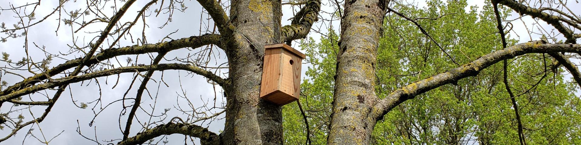 Nichoir Insatlleelisa Merimee 3 Rotated