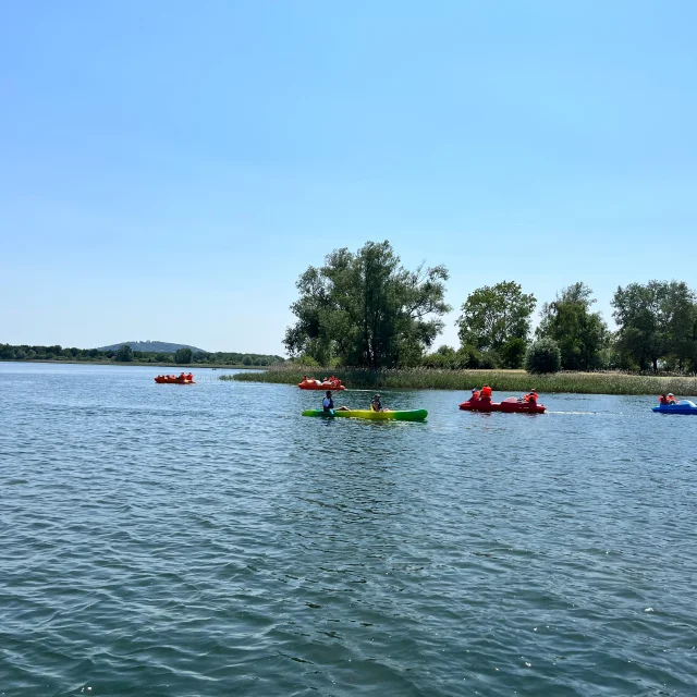 Nautical Canoe Paddle (4)