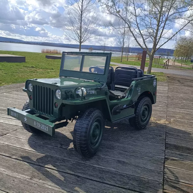 Voiturette Electrique 10