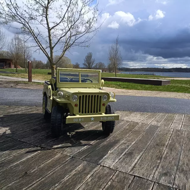 Voiturette Electrique 3