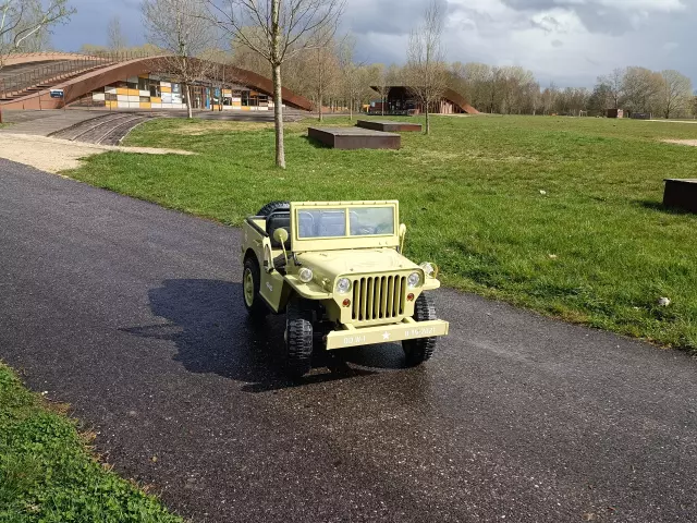 Voiturette Electrique 6