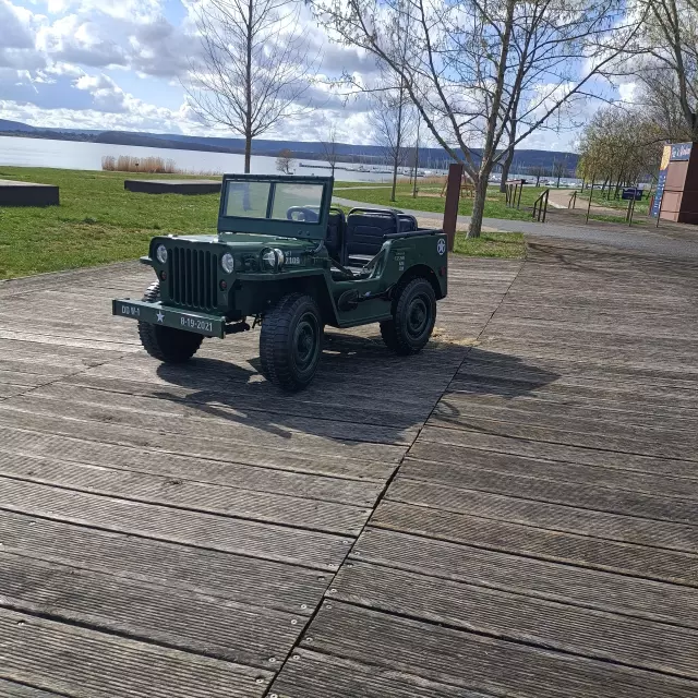 Voiturette Electrique 9