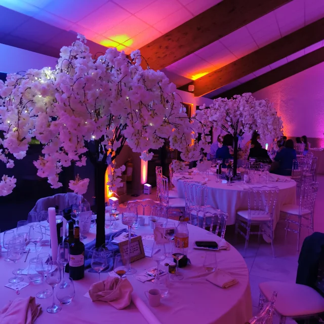 Deco Salle Des Gites Mariage 5