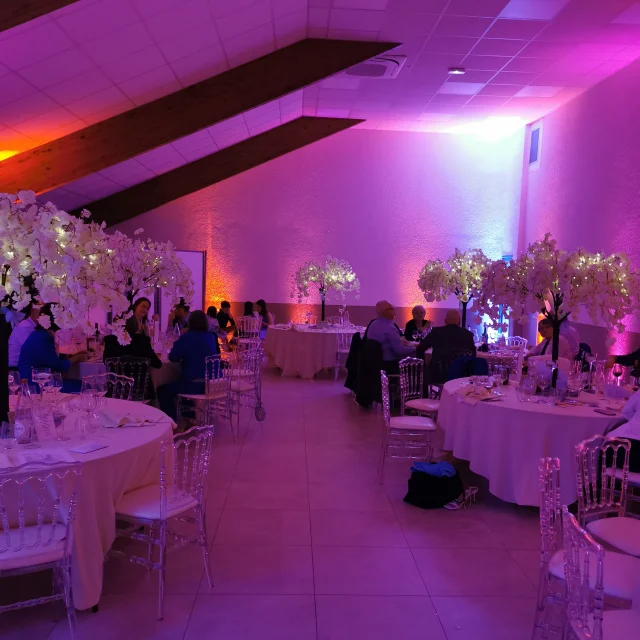 Deco Salle Des Gites Mariage 6