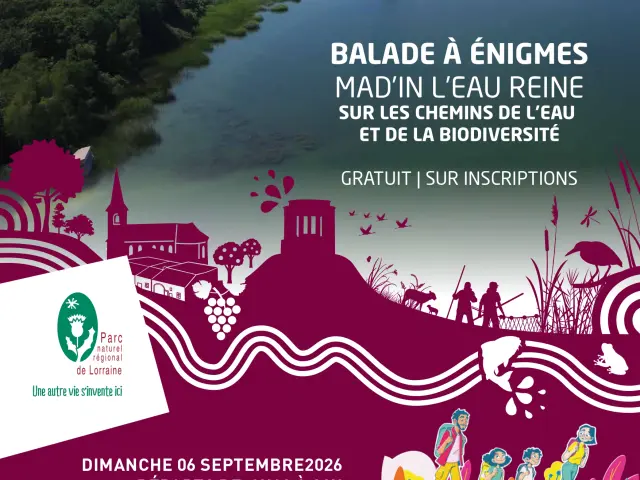 Affiche A3 Copiebalade A Enigmes Page 0001