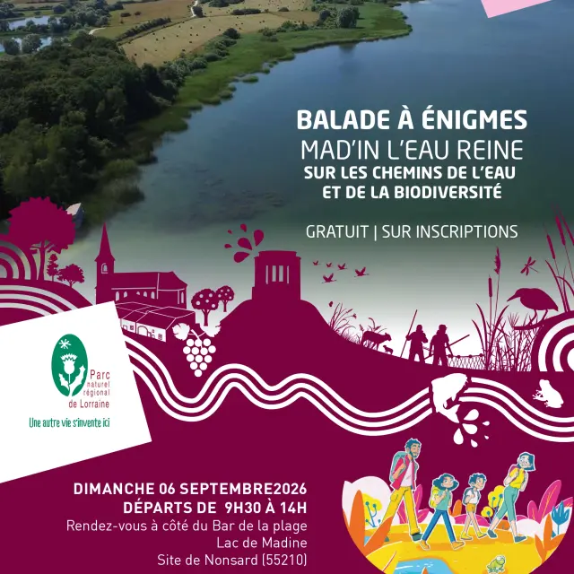 Affiche A3 Copiebalade A Enigmes Page 0001